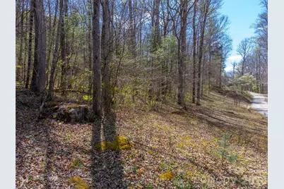 306 Cedar Creek Farm Road, Tuckasegee, NC 28783 - Photo 9