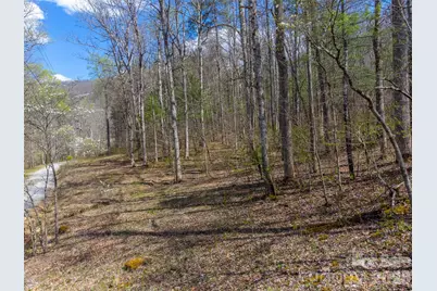 306 Cedar Creek Farm Road, Tuckasegee, NC 28783 - Photo 13