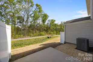 3950 Rothwood Ln, Harrisburg, NC 28075 - Photo 3