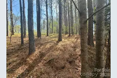 430 Clearwater Parkway, Rutherfordton, NC 28139 - Photo 13