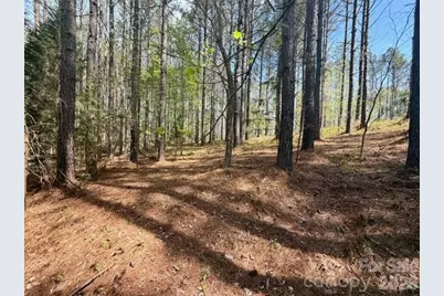 430 Clearwater Parkway, Rutherfordton, NC 28139 - Photo 5