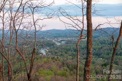 E11 Marble Heights Trail, Hendersonville, NC 28791 - Photo 5