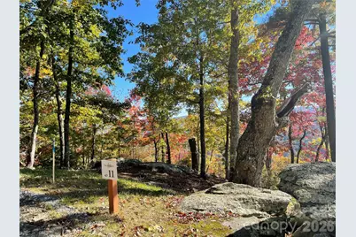 E11 Marble Heights Trail, Hendersonville, NC 28791 - Photo 9