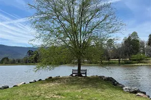 605 Rhododendron Ave, Black Mountain, NC 28711 - Photo 45