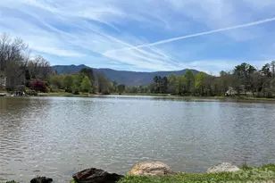 605 Rhododendron Ave, Black Mountain, NC 28711 - Photo 43