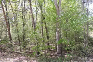 293 Manchester Rd, Mount Gilead, NC 27306 - Photo 1