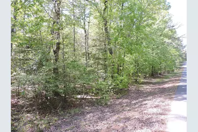 293 Manchester Road, Mount Gilead, NC 27306 - Photo 5