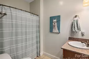 26 Lancaster Ln, Weaverville, NC 28787 - Photo 19