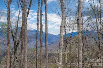 51 Summit Road, Swannanoa, NC 28778 - Photo 3