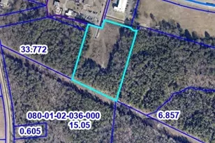 00000 Ja Cochran Hwy, Chester, SC 29706 - Photo 1