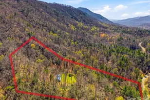 3138 Buffalo Creek Rd, Lake Lure, NC 28746 - Photo 35