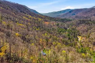 3138 Buffalo Creek Rd, Lake Lure, NC 28746 - Photo 37