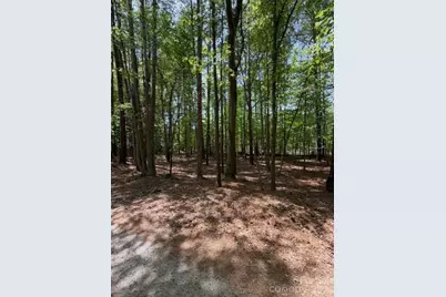 00 Truesdale Drive, Great Falls, SC 29055 - Photo 5