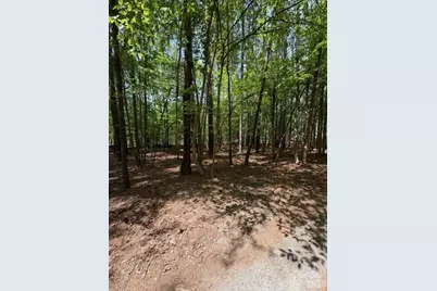 00 Truesdale Drive, Great Falls, SC 29055 - Photo 3