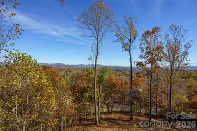 41 Ben Lippen School Road, Asheville, NC 28806 - Photo 39