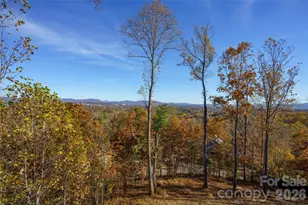 41 Ben Lippen School Rd, Asheville, NC 28806 - Photo 39