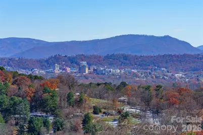 41 Ben Lippen School Road, Asheville, NC 28806 - Photo 3