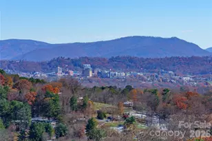 41 Ben Lippen School Rd, Asheville, NC 28806 - Photo 3