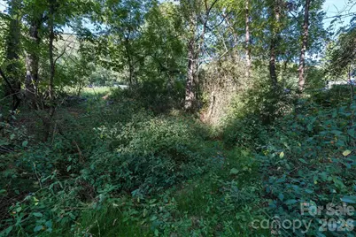 Tbd Crymes Cove Road #8-A, Waynesville, NC 28786 - Photo 7