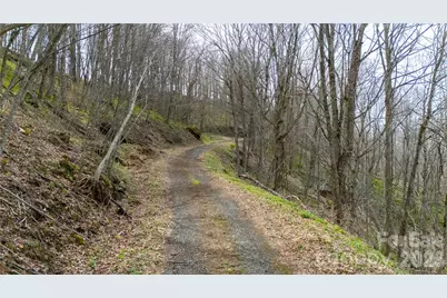 000 Tyler Lane, Bakersville, NC 28705 - Photo 5