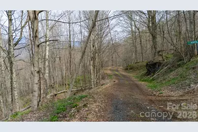 000 Tyler Lane, Bakersville, NC 28705 - Photo 3