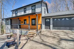 46 Wahuhu Ct, Brevard, NC 28712 - Photo 3