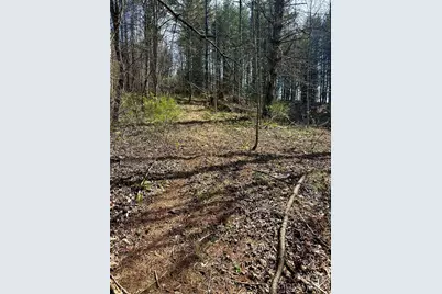 000 Mitchell Avenue, Bakersville, NC 28705 - Photo 7