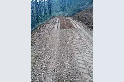 000 Mitchell Avenue, Bakersville, NC 28705 - Photo 11