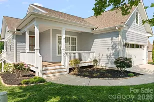 14 Rose Creek Rd, Leicester, NC 28748 - Photo 3