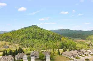 14 Rose Creek Rd, Leicester, NC 28748 - Photo 5