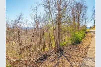 61 Ben Lippen School Road, Asheville, NC 28806 - Photo 3