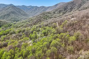 302 Davy Crockett Dr, Maggie Valley, NC 28751 - Photo 43