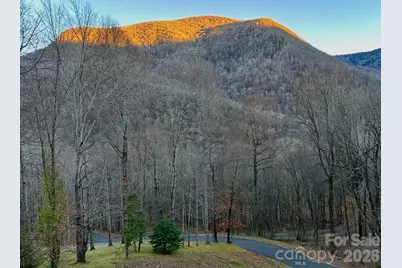 302 Davy Crockett Drive, Maggie Valley, NC 28751 - Photo 45