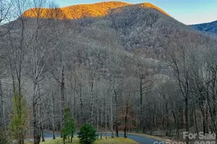 302 Davy Crockett Dr, Maggie Valley, NC 28751 - Photo 45