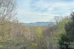 24 Sunnie Rae Ln, Candler, NC 28715 - Photo 41