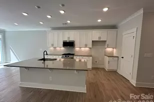 203 Viburnum Rd, Waxhaw, NC 28173 - Photo 3