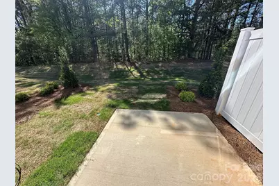 203 Viburnum Road, Waxhaw, NC 28173 - Photo 11