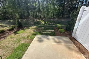 203 Viburnum Rd, Waxhaw, NC 28173 - Photo 11