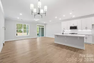 207 Viburnum Rd, Waxhaw, NC 28173 - Photo 19