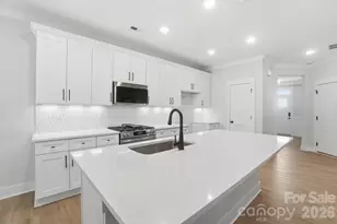 207 Viburnum Rd, Waxhaw, NC 28173 - Photo 15