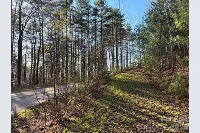 11 Wildlife Drive #11, Clyde, NC 28721 - Photo 15