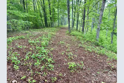 11 Wildlife Drive #11, Clyde, NC 28721 - Photo 7