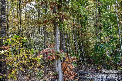 7725 Long Bay Parkway #34, Catawba, NC 28609 - Photo 5