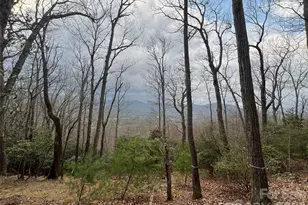 27 Deer Grass Ct, Arden, NC 28704 - Photo 1