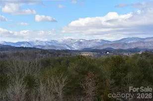 44 Dane Acres Dr, Alexander, NC 28701 - Photo 15