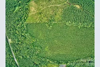 21 US Highway 21 Highway, Ridgeway, SC 29130 - Photo 15