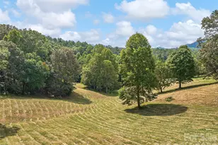 4546 Pine Log Rd, Brasstown, NC 28902 - Photo 33