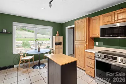 17 Boyd Cove Road, Leicester, NC 28748 - Photo 11