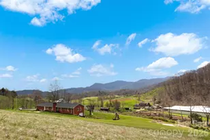 17 Boyd Cove Rd, Leicester, NC 28748 - Photo 5