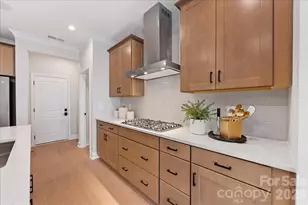 171 Landy St, Fort Mill, SC 29715 - Photo 13